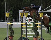 Lippi Bruni Caesar CsioArJYR SS7 8450 : CSIO Giovani Arezzo, Caesar, Lippi Bruni Rebecca, foto Stefano Secchi ©